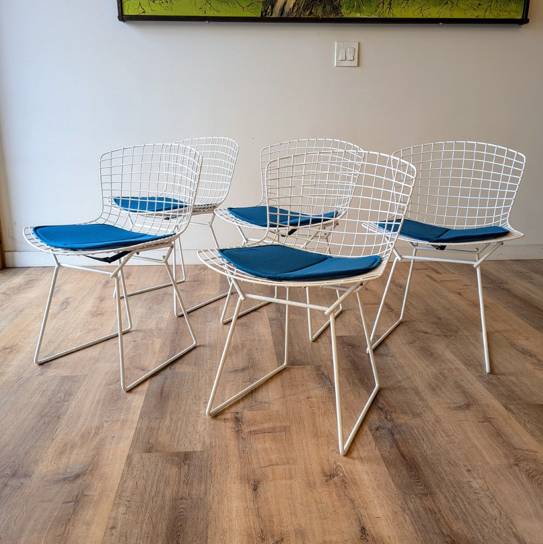 Harry Bertoia Dining Chairs, set of 5